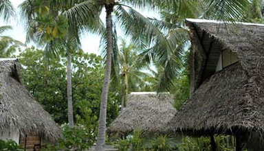 Tuanake Rangiroa