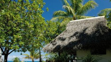 Tuanake Rangiroa