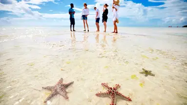 TUI BLUE Bahari Zanzibar