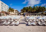 Tukan Playa del Carmen
