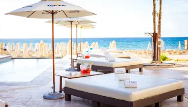 Tukan Playa del Carmen