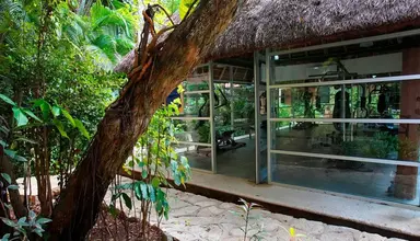Tukan Playa del Carmen
