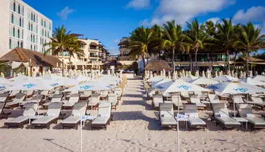 Tukan Playa del Carmen