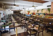 Tukan Playa del Carmen