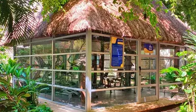 Tukan Playa del Carmen