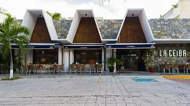 Tukan Playa del Carmen