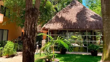 Tukan Playa del Carmen