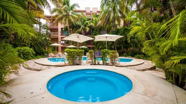 Tukan Playa del Carmen