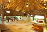 Tukan Playa del Carmen