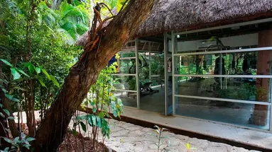 Tukan Playa del Carmen