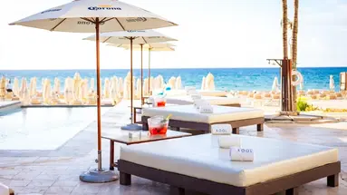 Tukan Playa del Carmen