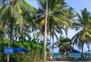 Turtle Bay Beach
