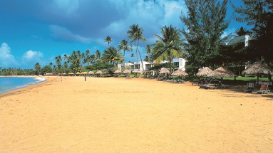 Turtle Beach by Rex Resort
