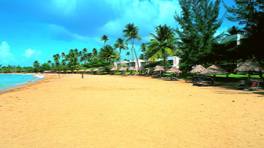 Turtle Beach by Rex Resort