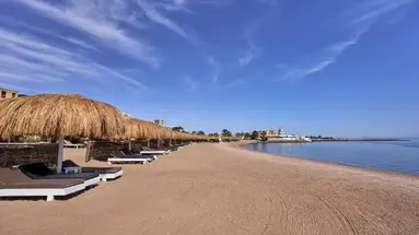 Turtles Inn