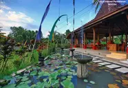 Ubud Heaven Penestanan