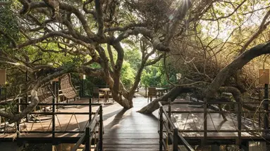 Uga Jungle Beach
