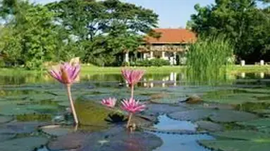 Ulagalla Resort