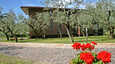 Uliveto