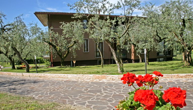 Uliveto