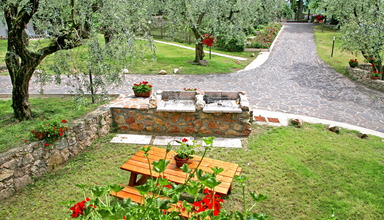 Uliveto