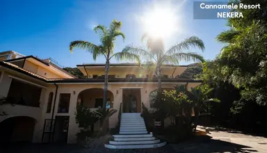 UNICO Cannamele Escape Tropea