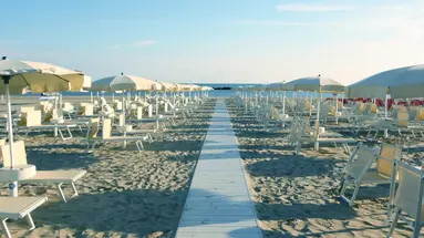 Universal (Senigallia)