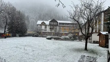 Urbani