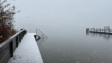 Urbani