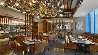 V Dubai Curio Collection by Hilton