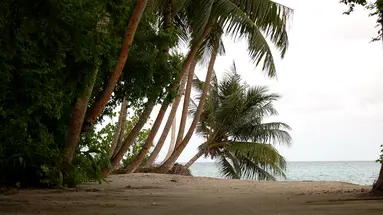 Vaali Maldives
