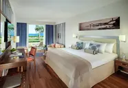 Valamar Dubrovnik President
