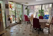 Vanini