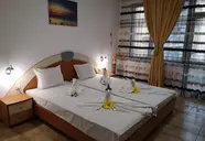 Vanini