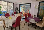 Vanini