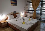 Vanini