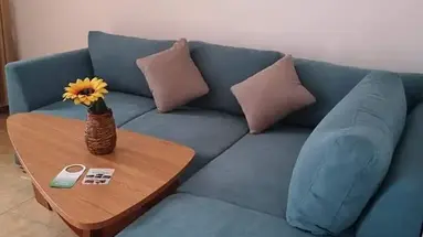 Vanini