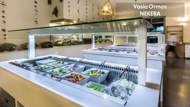 Vasia Ormos