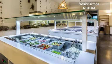 Vasia Ormos