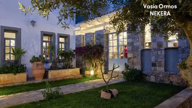Vasia Ormos