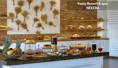 Vasia Resort