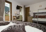 Vedig