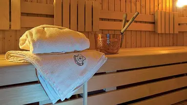 Vedig