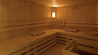 Vedig