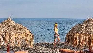 Veggera