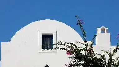 Veggera