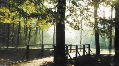 Velka Fatra (Turczańskie Teplice)