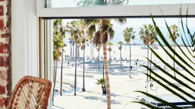 Venice V