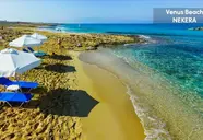 Venus Beach