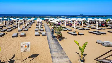 Venus Beach